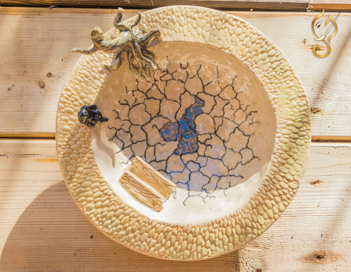 Drought Bowl- Global Warming -Ceramic Art